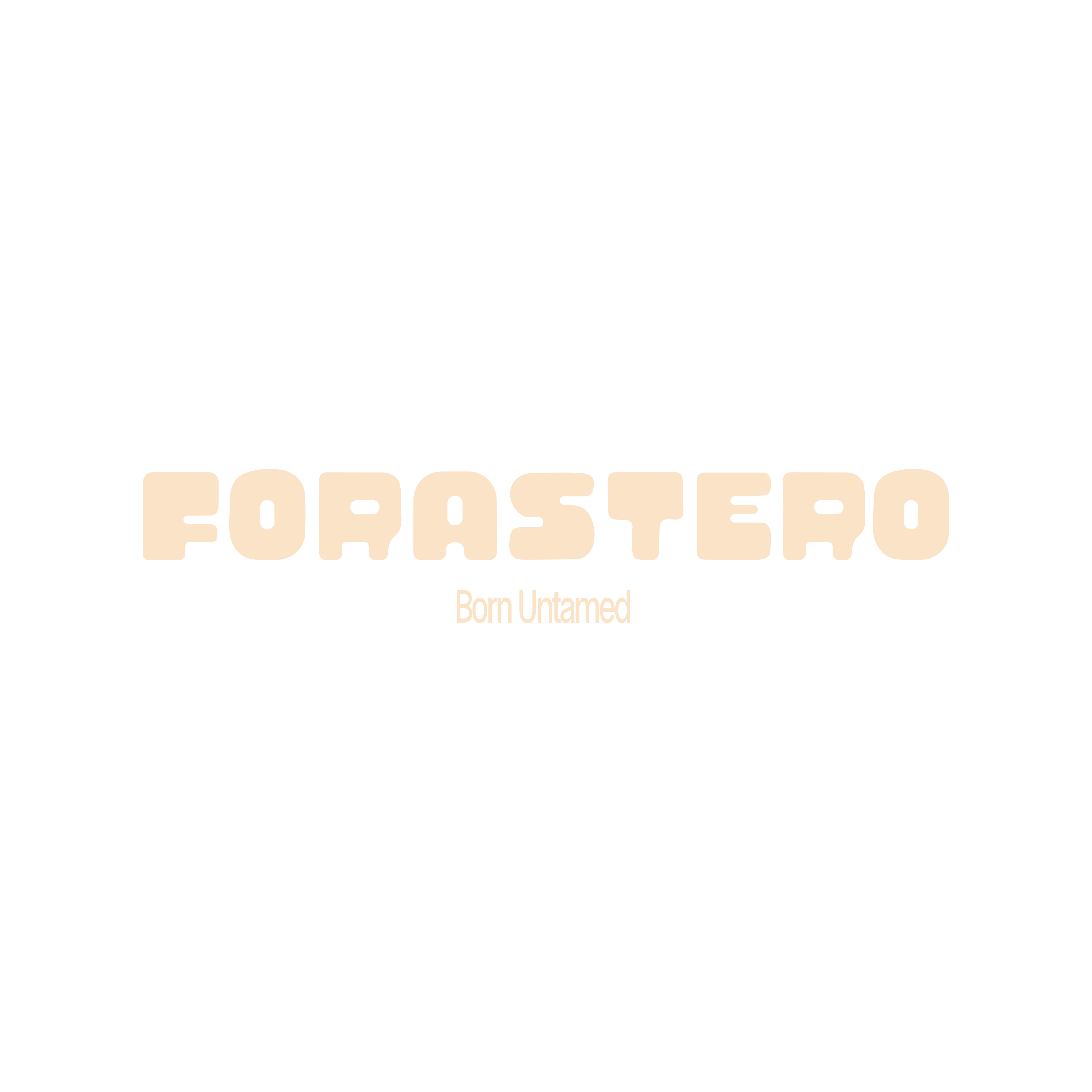 Forastero